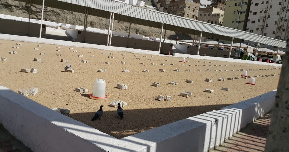 10 Historical Ziyarat places in Makkah